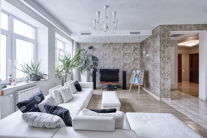 Minimalistic living room