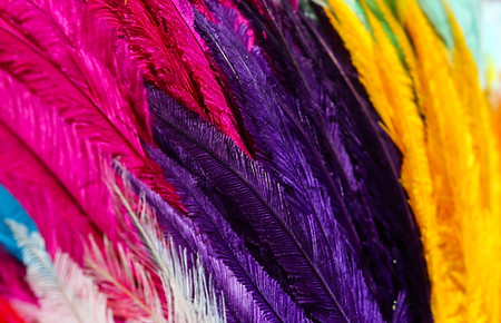 Plumes colorées