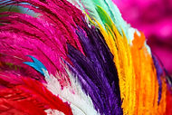 Penas coloridas