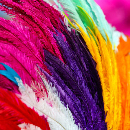 The colors meanings 