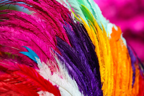 Plumes colorées