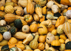 Autumn Bites for Tiny Tummies: Nutritious November Recipes with Seasonal Fruits & Veggies to Savor!