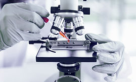 Microscope