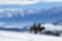 Horse riding in winter