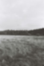 Black And White Field