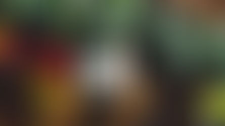 Disconnected: the Battle for WiFi