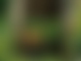 How Long Does It Really Take to Prepare and Apply for Grants?