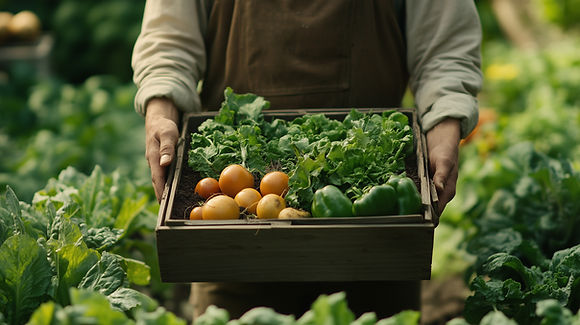 Fresh Vegetable Harvest
