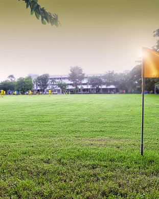 Sports Field Flag