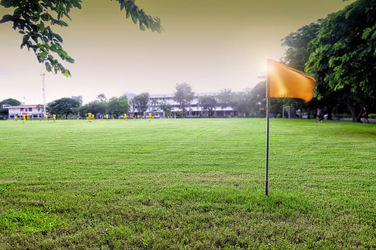Sports Field Flag
