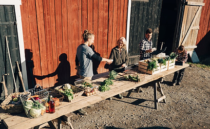 Farmers Selling Vegetables