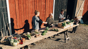 Advocating for Local Livelihoods: Local Livelihoods Impact on Gulf Islands
