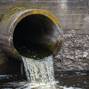 The Implications of Japan's Radioactive Water Disposal