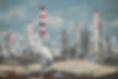 Oil Refinery