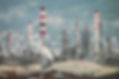 Oil Refinery