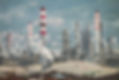 Oil Refinery