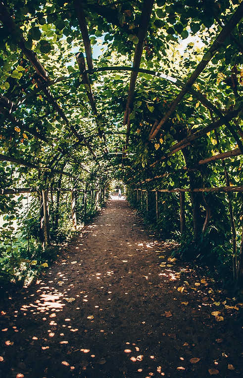 Bridge Full of Plants
