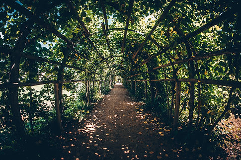 Bridge Full of Plants