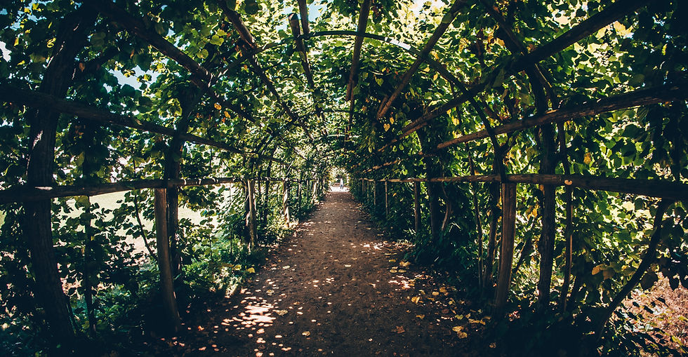 Bridge Full of Plants