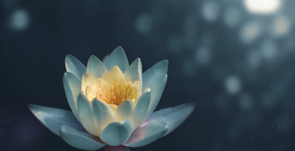 Quiet personal Discovery