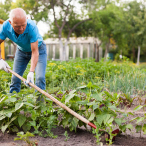 Gardening: The Ultimate "Unbalanced" Sport
