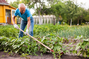 Gardening