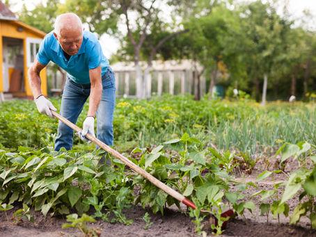 Want a smarter way to grow veg in your later years?