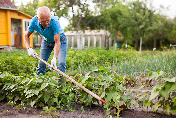 Gardening