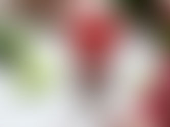 How to Boost Your Immunity Naturally?