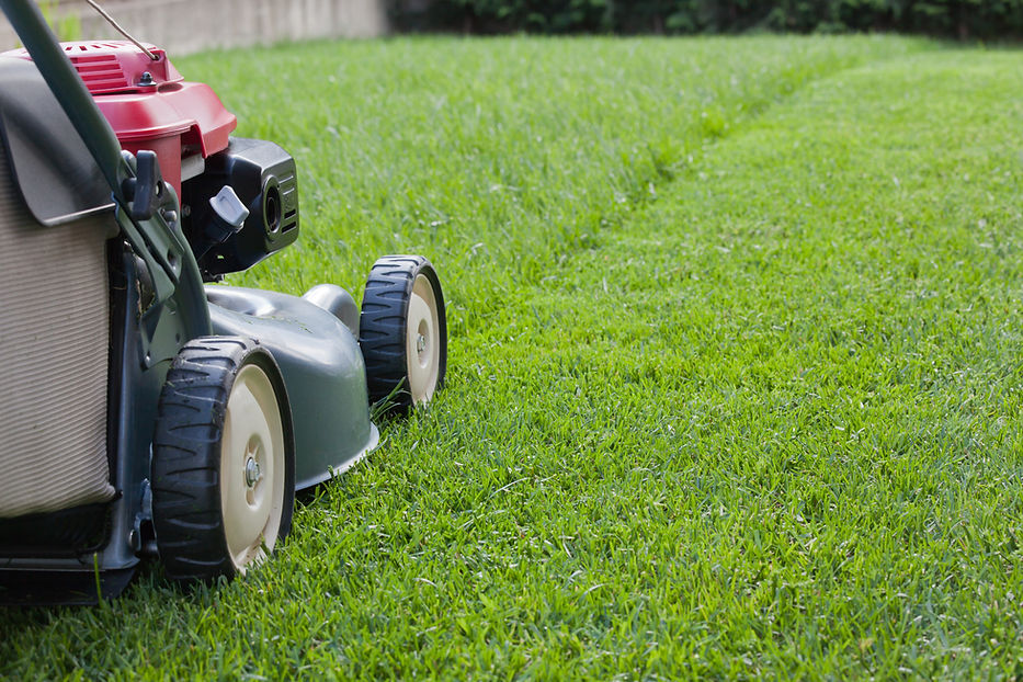 Man cutting lawn with a mower