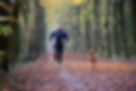 Forest Run