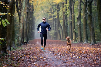 Course en forêt