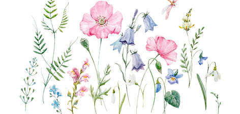wildflowers