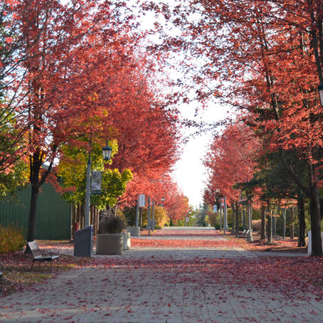 November: The Perfect Time to Support Your Child’s Schoolwork