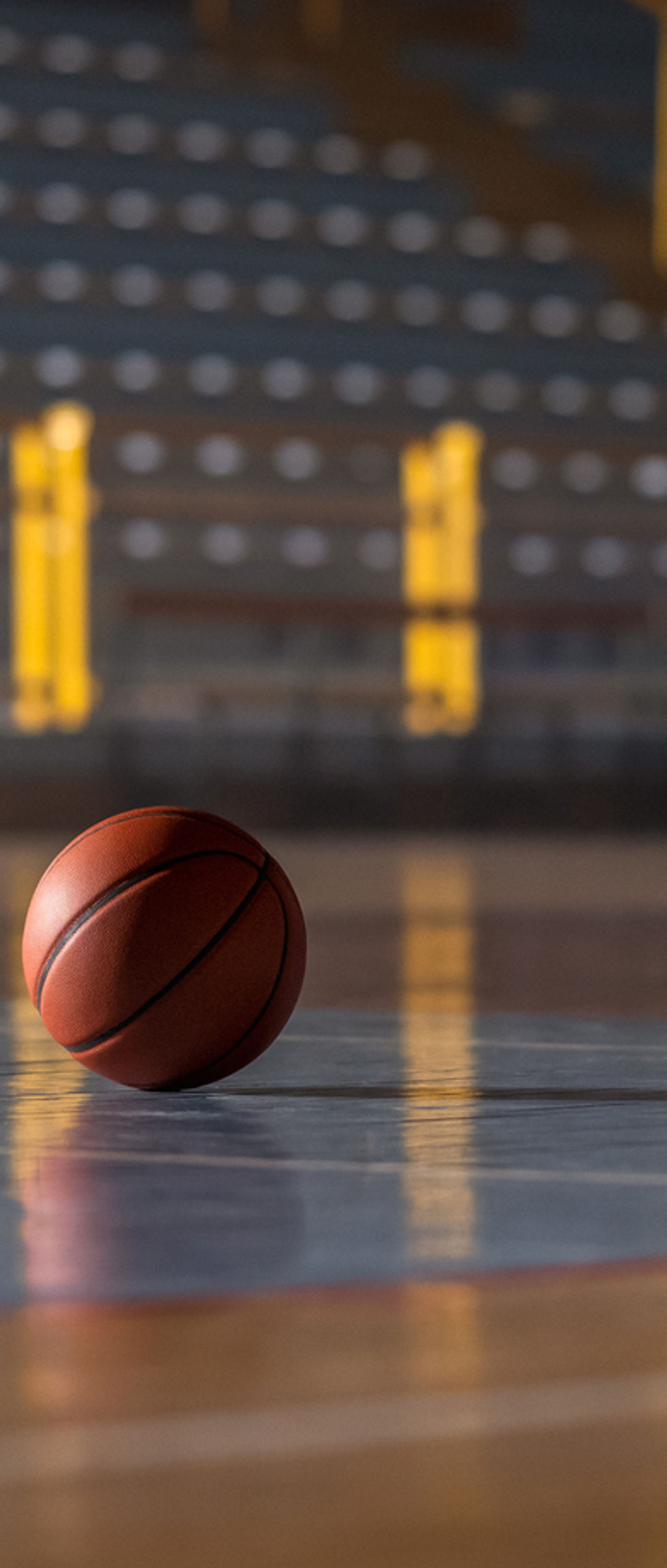 Pallacanestro in campo