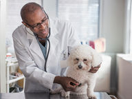 Sua clínica veterinária tem PGRSS? Sem ele, você arrisca mais do que imagina