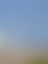 Shamurotov Nodirbek Bakbergan oʻgʻli