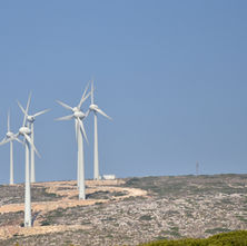 Sustainability Among Indian Businesses