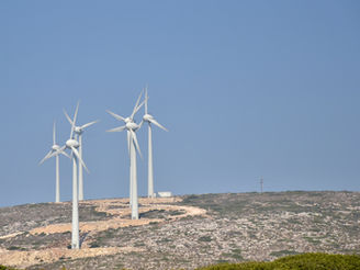 Can Carbon Markets Make It Cheaper for Green Companies to Borrow Money?
