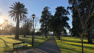 Irvine Great Park Guide: Canopy, Museums & More