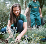 Gardening Team