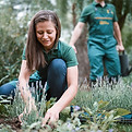 Gardening Team