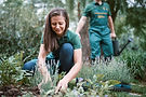Gardening Team