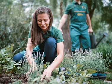 Gardening Activity Outdoors