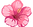 Pink Hibiscus Hawaii State Symbol PDR Hawaii Paintless Dent Repair Oahu