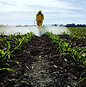 Agricultural Spraying