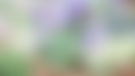 ○○月の休診日について