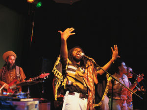 Экологические вызовы на Ямайке: развитие туризма и судьба мангровых лесов​