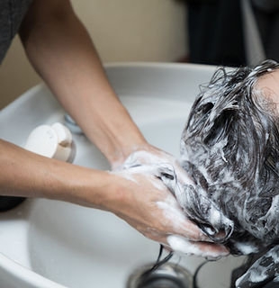 Grooming and Bedding Needs