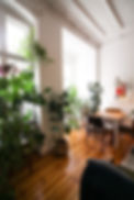 Indoor Plants